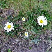 CoastCamp 082 : CoastCamp